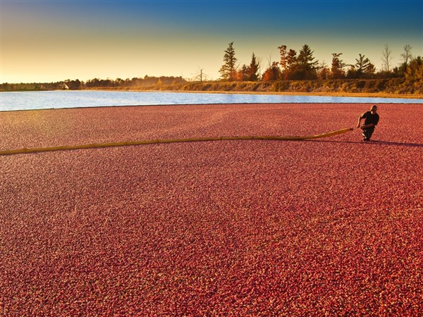 Cranberry Fest & Wisconsin Dells